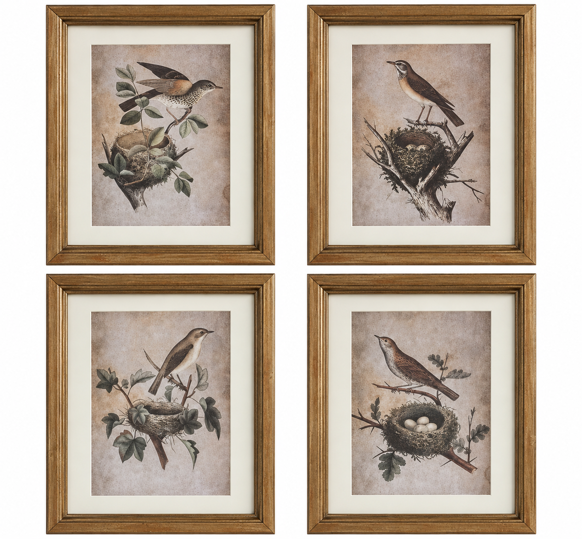 Vintage-Inspired Bird & Nest Framed Print