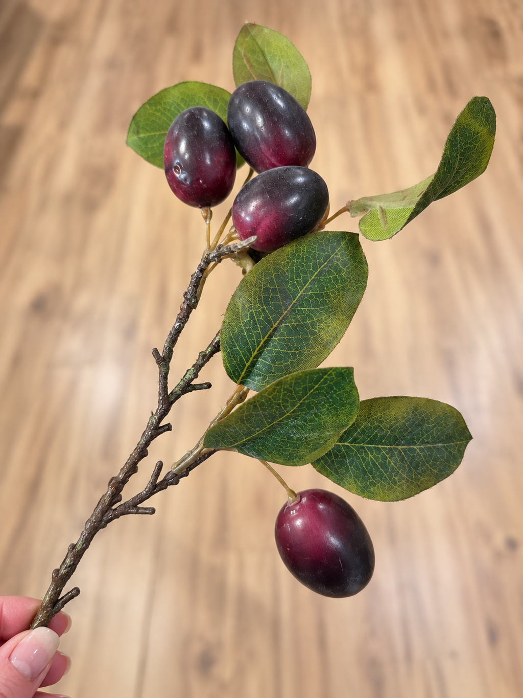 Plum Stem