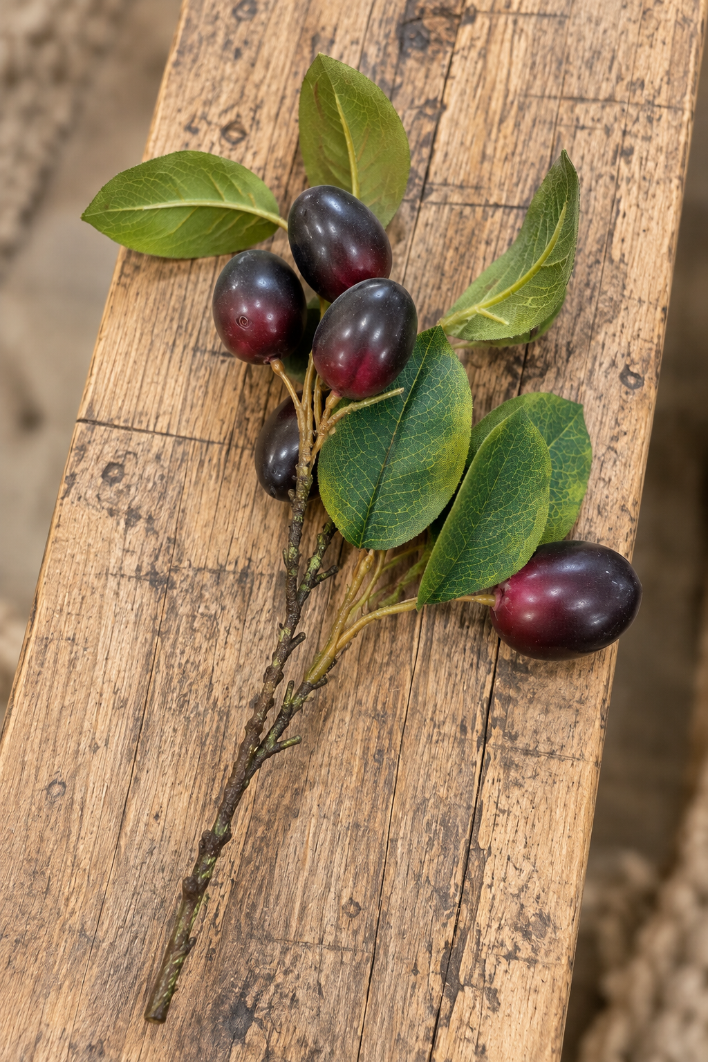 Plum Stem