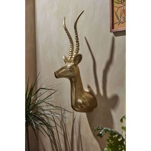 Wall Mount - Antelope