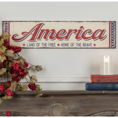 America Metal Print