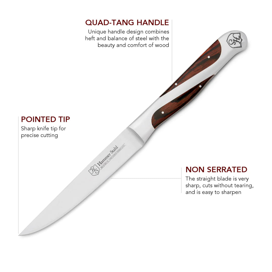 4-Piece Steak Knife Set