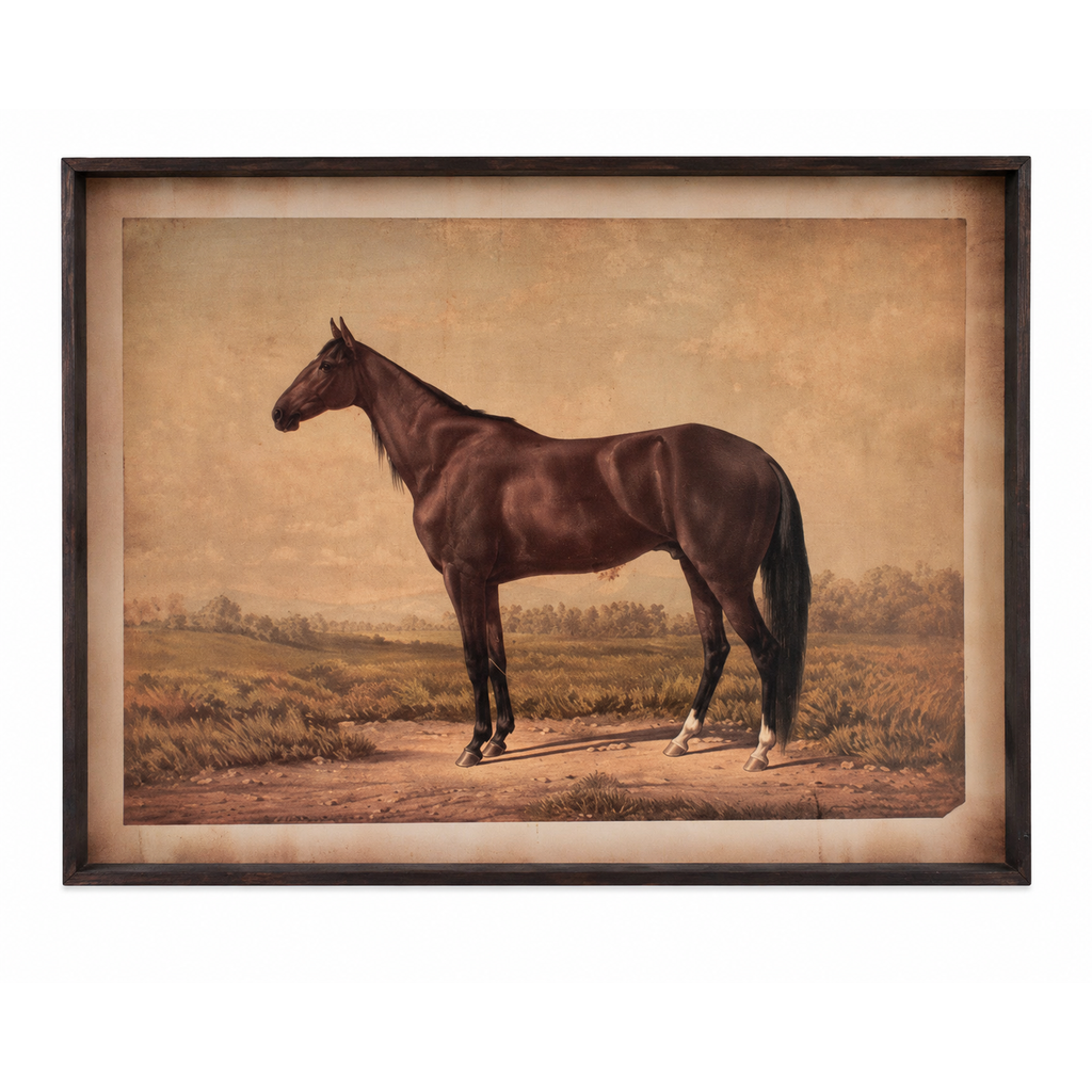 Horse Print under Glass