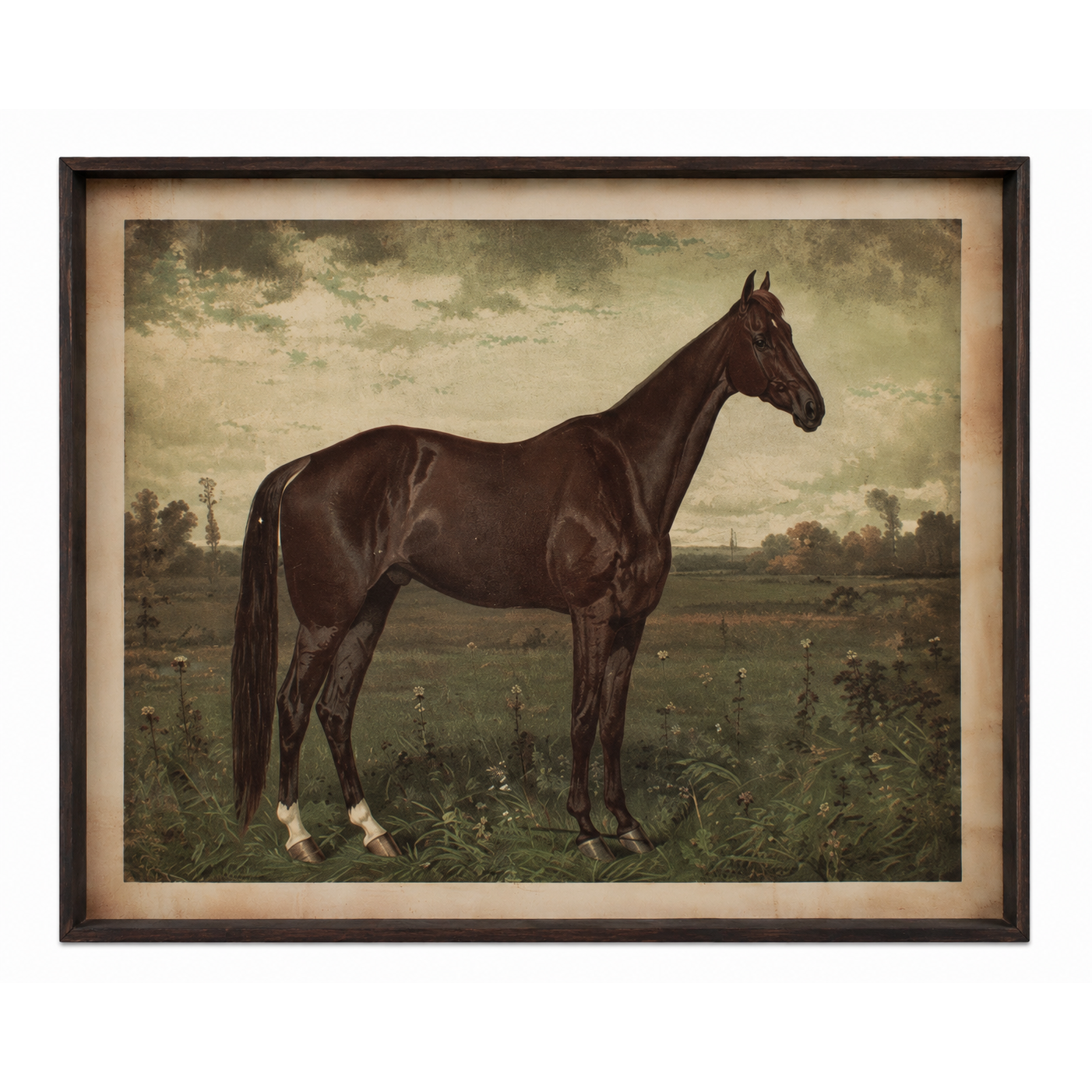 Horse Print under Glass