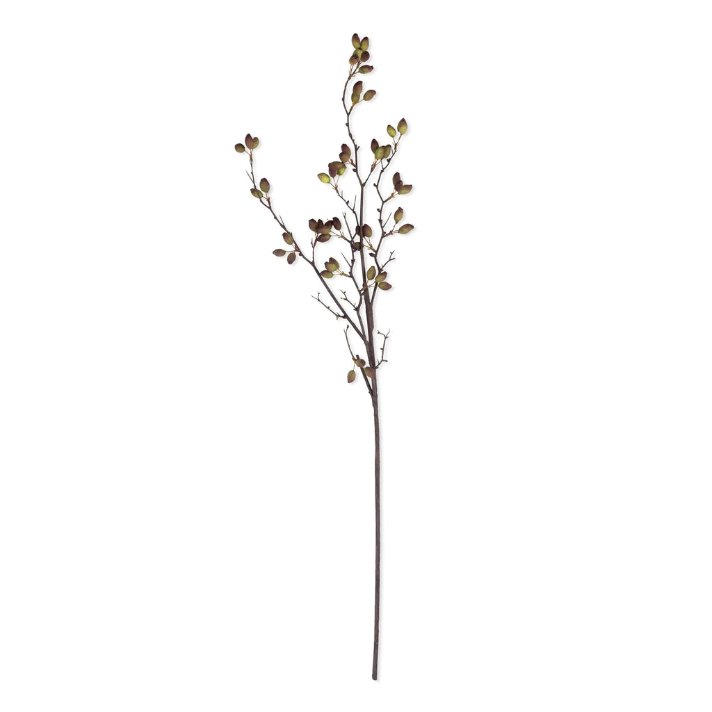 Artificial Barberry