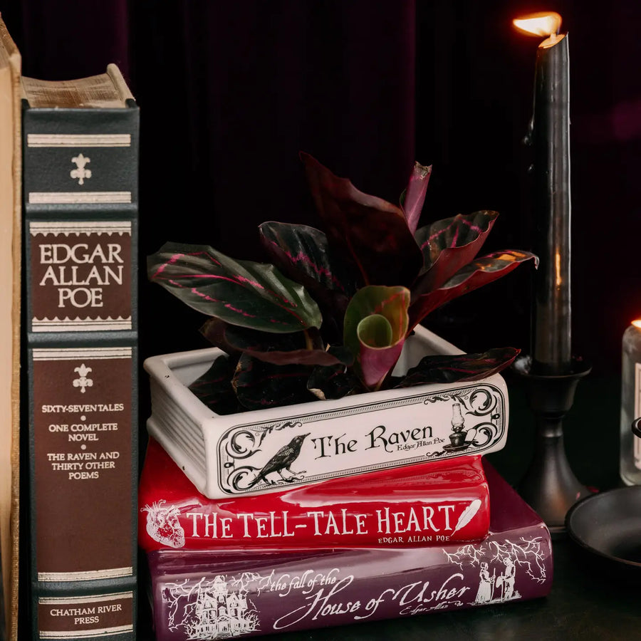 Stacked Book Vase | Edgar Allen Poe