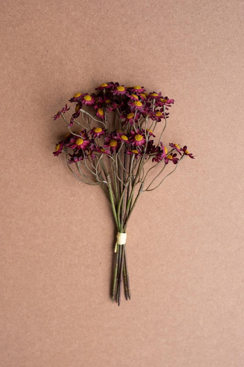 Chamomile Bundle | 6 Stems