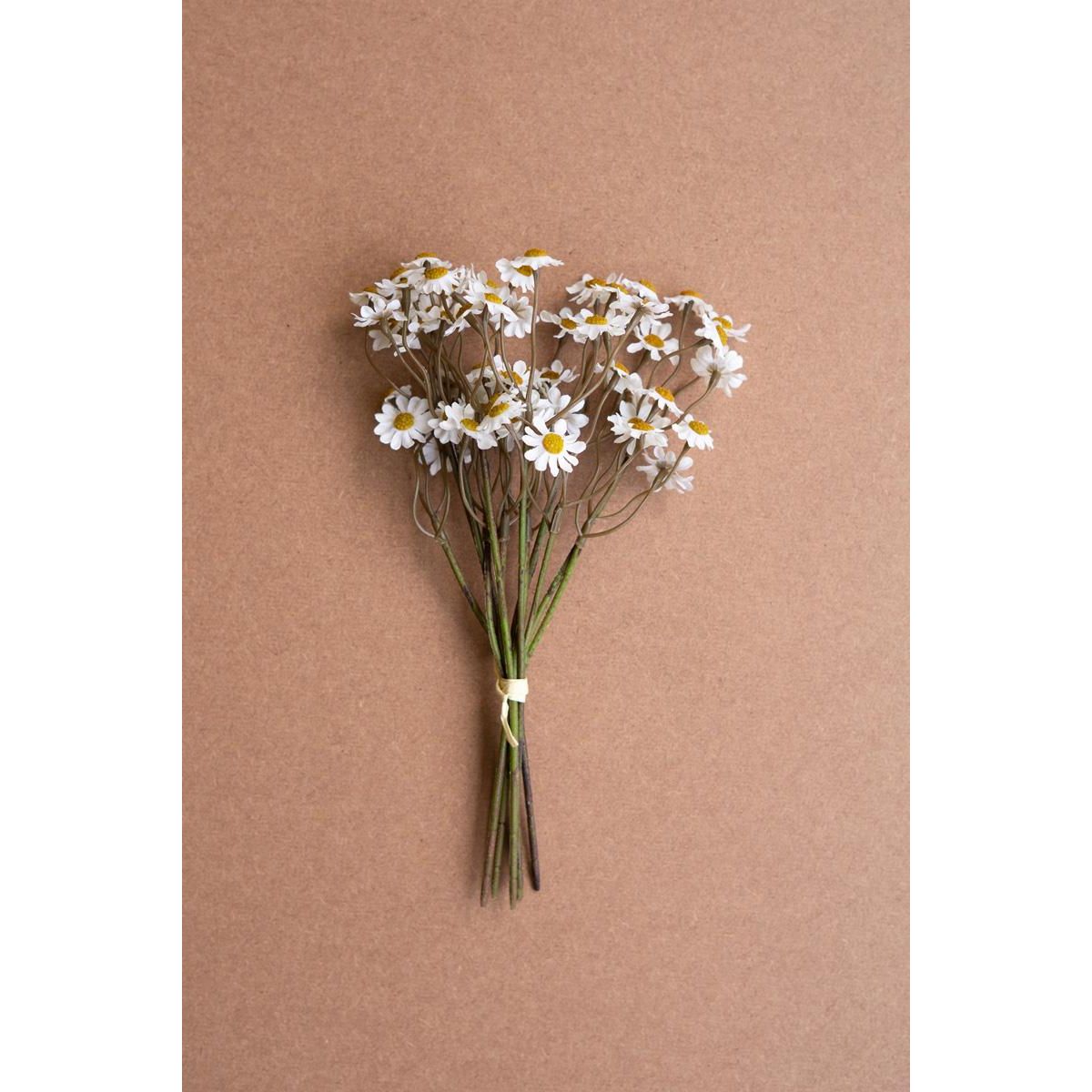 Chamomile Bundle | 6 Stems