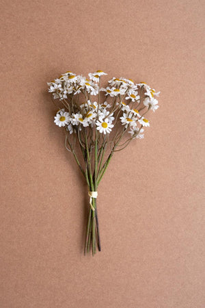 Chamomile Bundle | 6 Stems