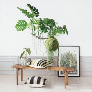 Wood & Glass Framed Fern Print