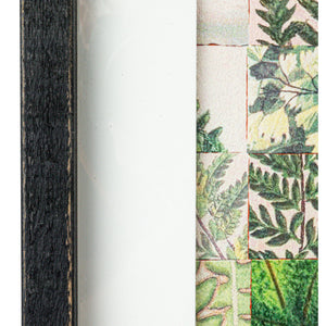 Wood & Glass Framed Fern Print