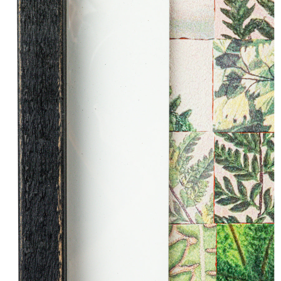 Wood & Glass Framed Fern Print