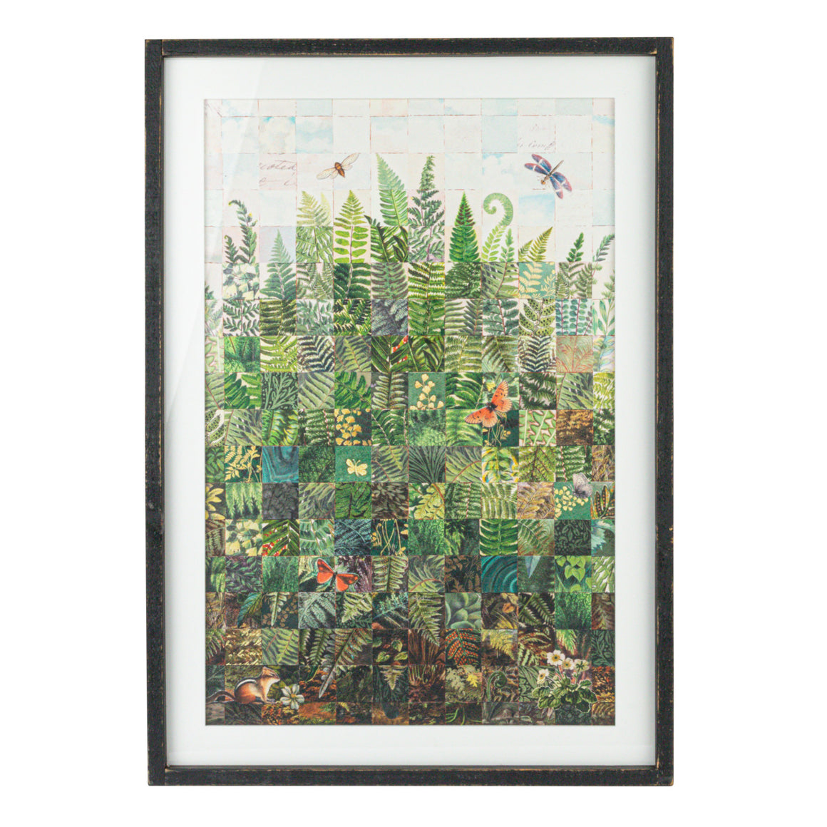 Wood & Glass Framed Fern Print