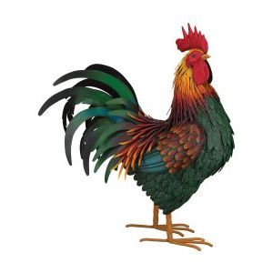 Rhode Island Red Rooster | Large