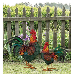 Rhode Island Red Rooster | Large