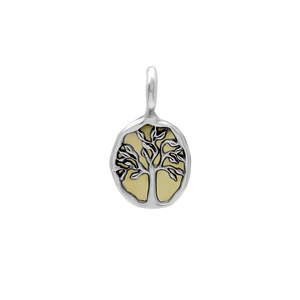 Mother Nurture Medallion