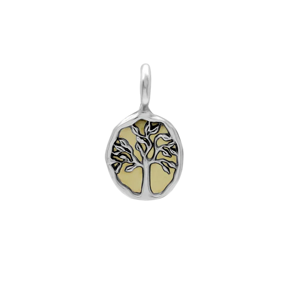 Mother Nurture Medallion