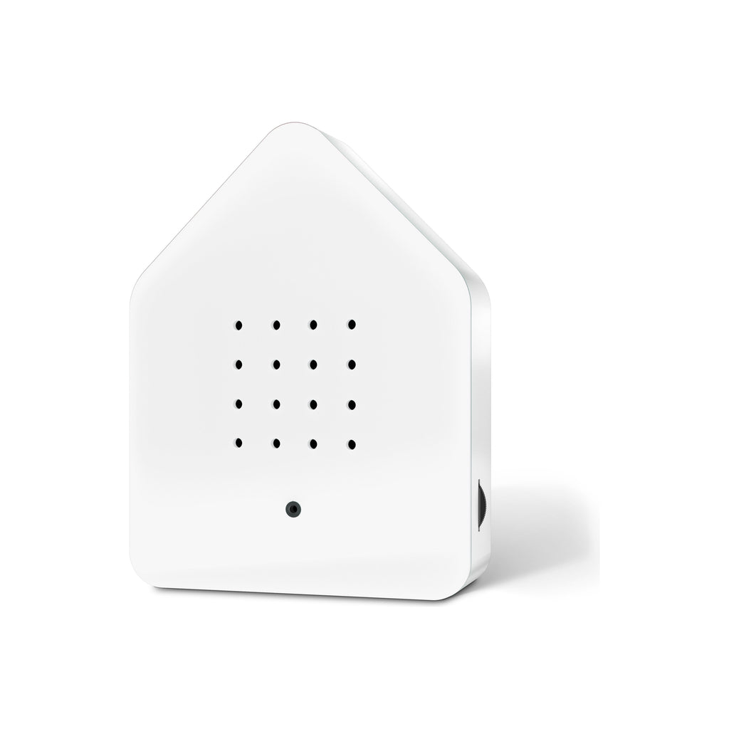 BirdyBox | Red Cardinal