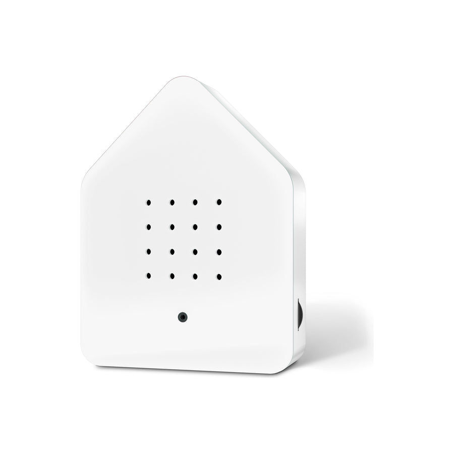 BirdyBox | Red Cardinal