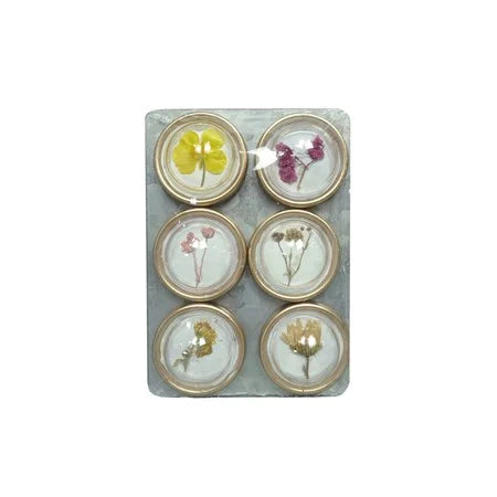 S/6 Botanical Magnets