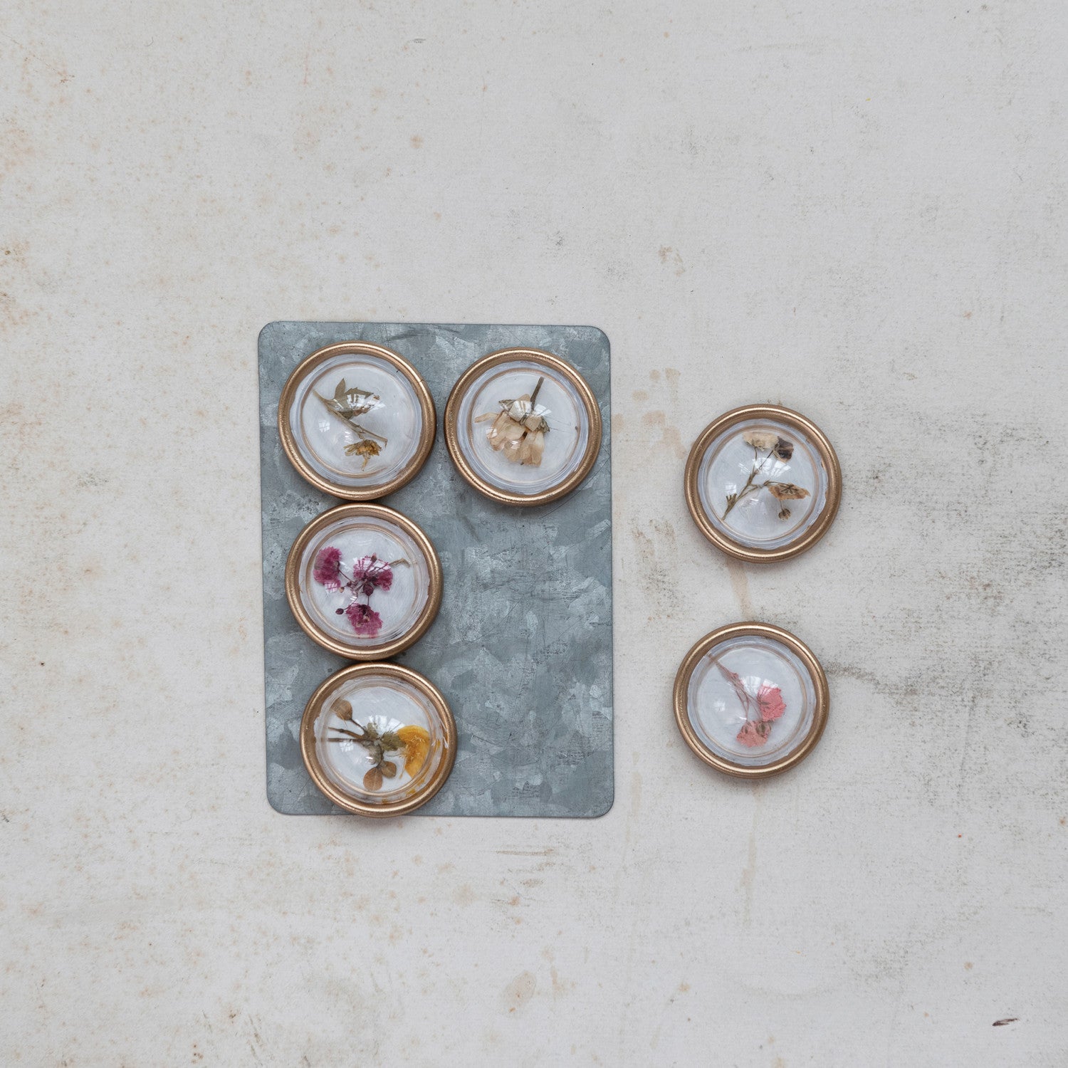 S/6 Botanical Magnets