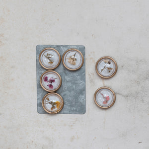 S/6 Botanical Magnets