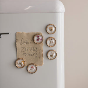 S/6 Botanical Magnets