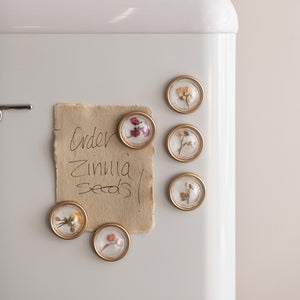 S/6 Botanical Magnets