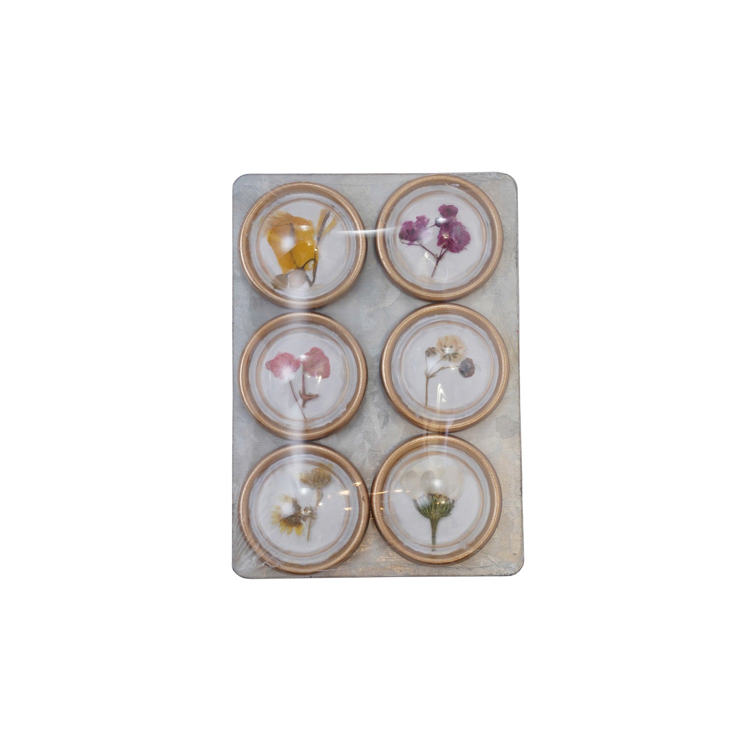 S/6 Botanical Magnets