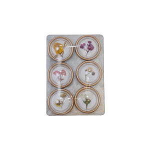 S/6 Botanical Magnets