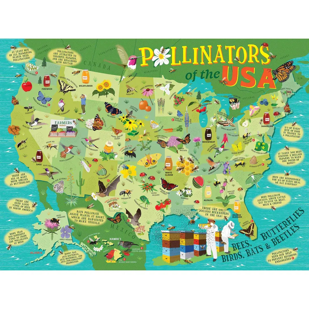 Pollinators of the USA