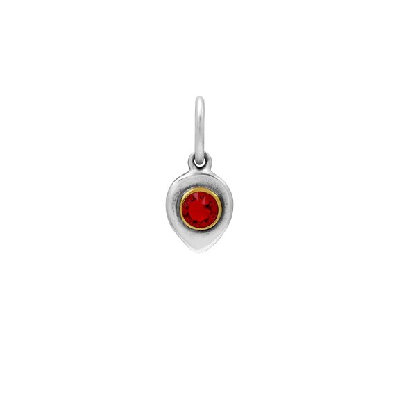 Birthlight Charm | January