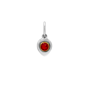 Birthlight Charm | January