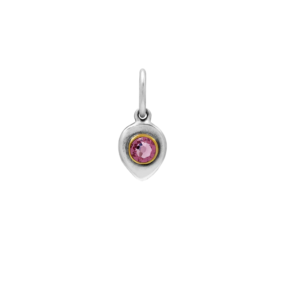 Birthlight Charm | June
