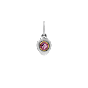 Birthlight Charm | June