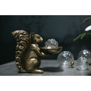 Squirrel Bowl
