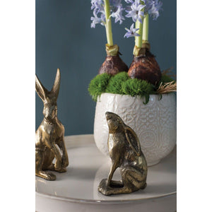 Bea Bunny