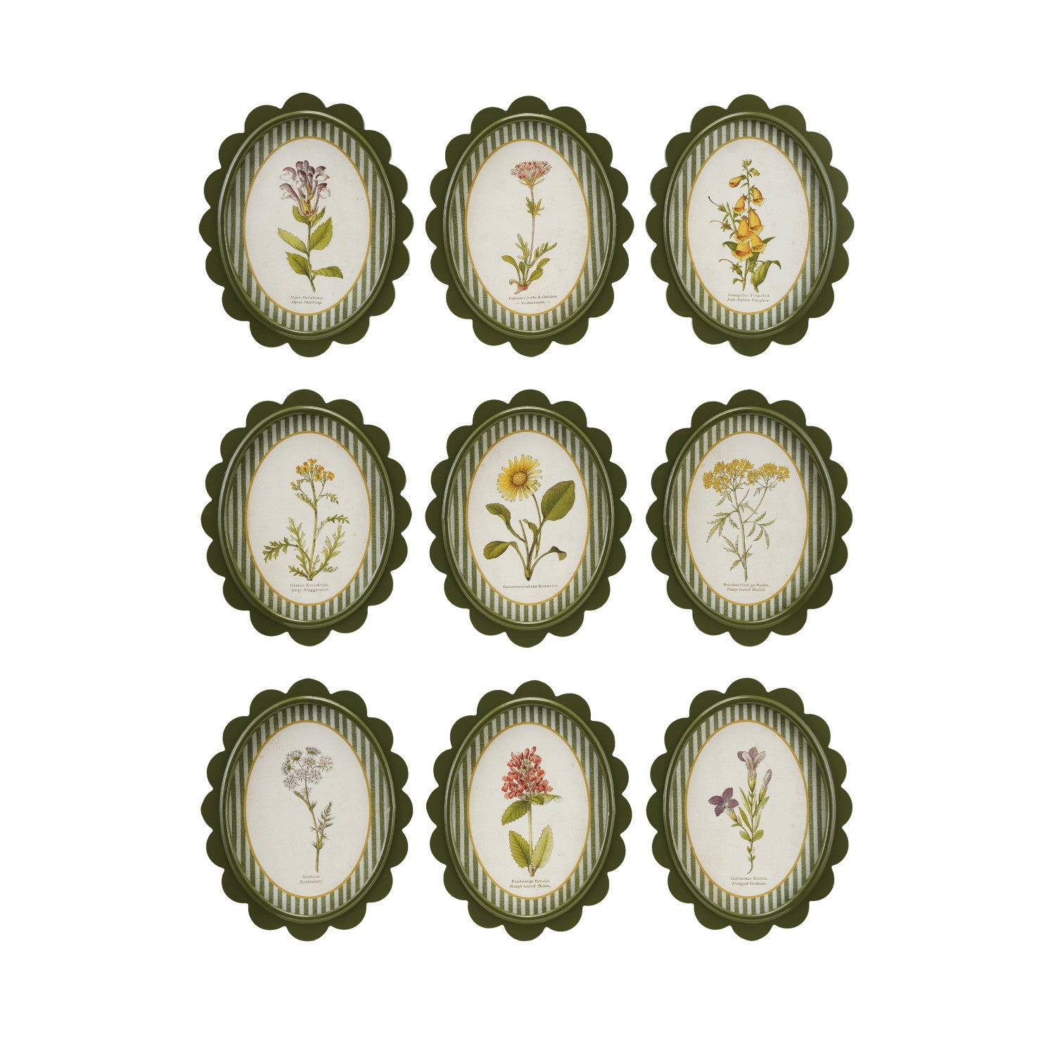 Botanical Scalloped Wall Decor