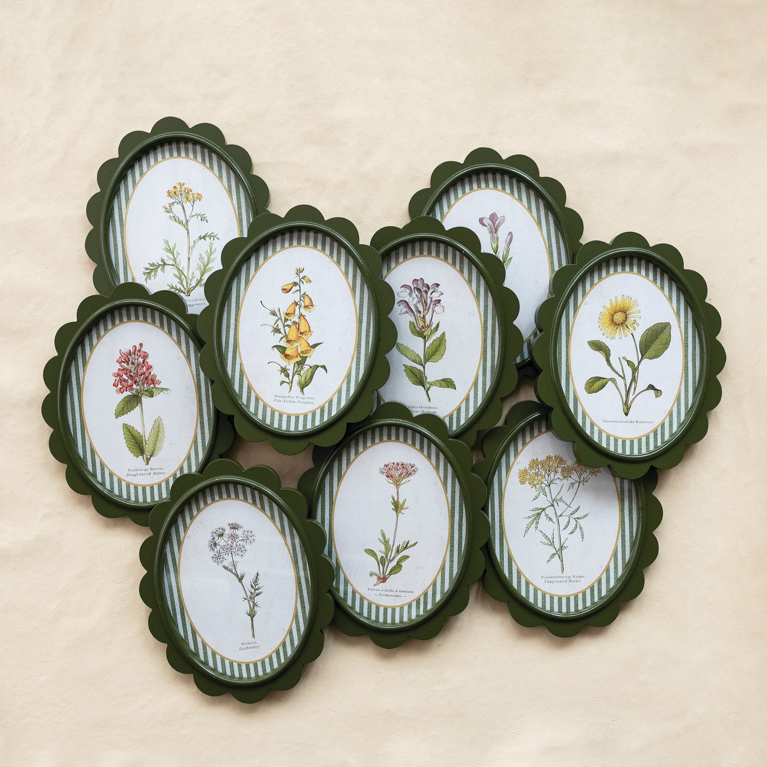 Botanical Scalloped Wall Decor