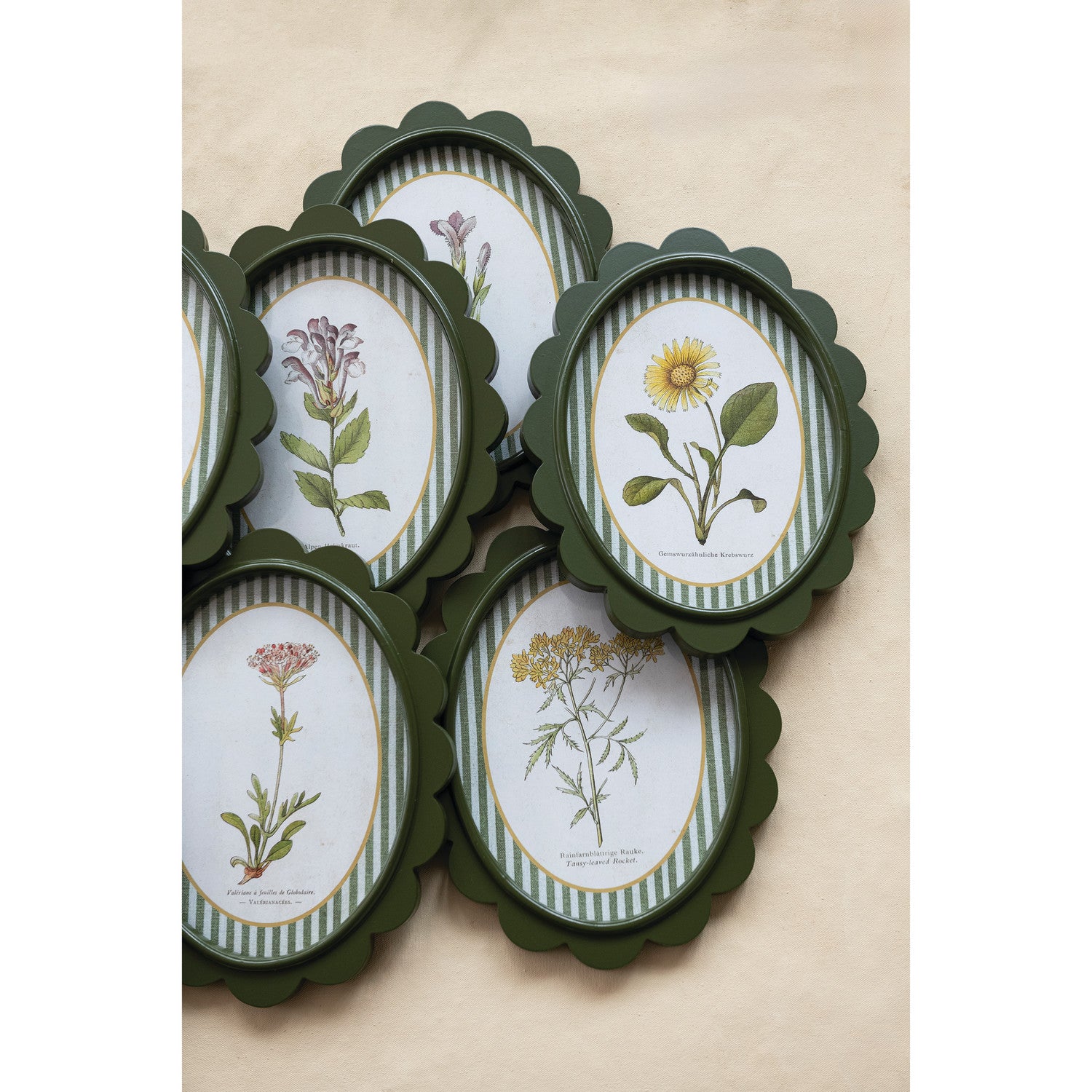 Botanical Scalloped Wall Decor