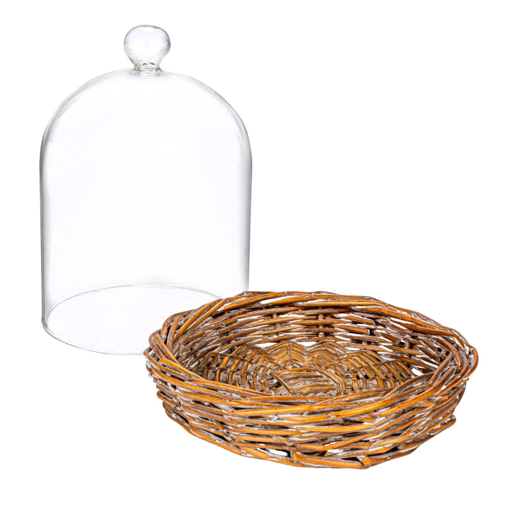 Glass Cloche w/Woven Willow Base