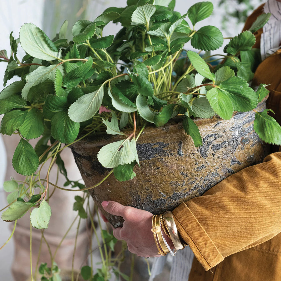 Mediterranean Garden Pot
