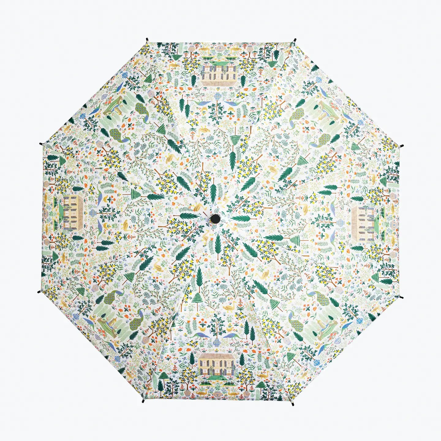 Camont Umbrella