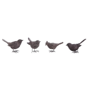 Brown Bird