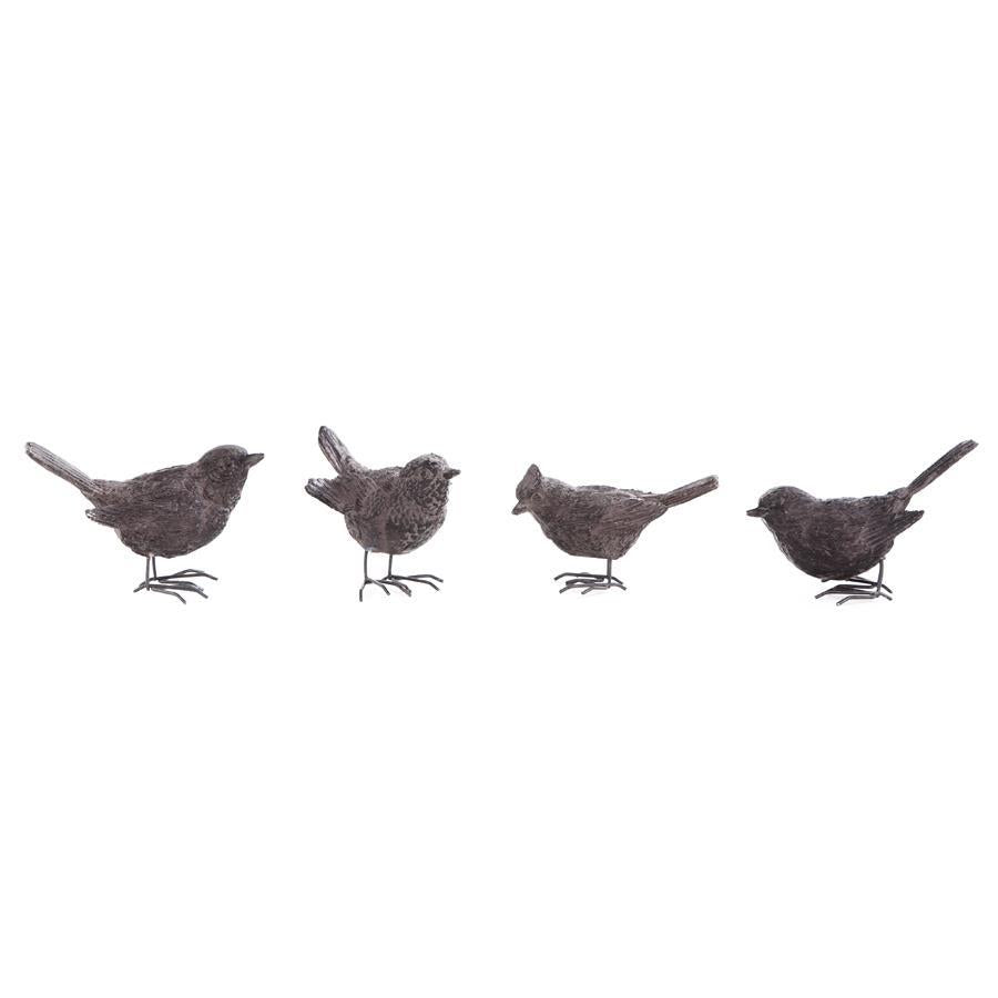 Brown Bird