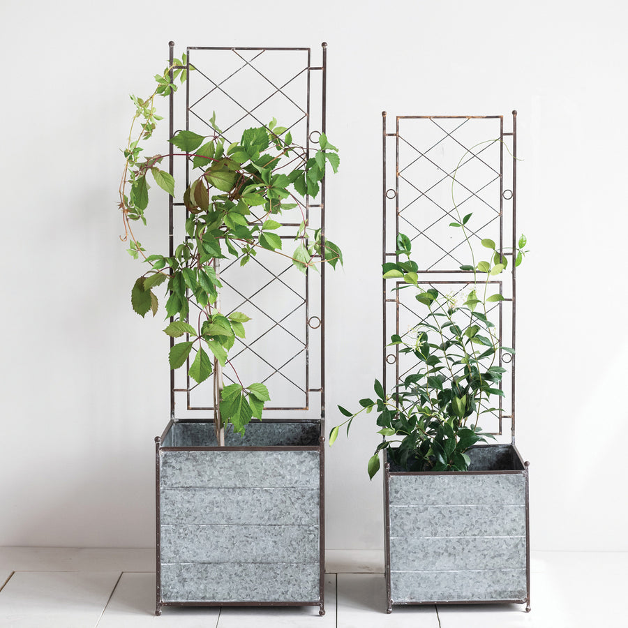 Galvanized Metal Planters w/Trellis