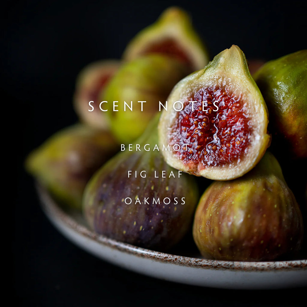 Linnea Candles | Botanik Collection | 2 Wick Candles