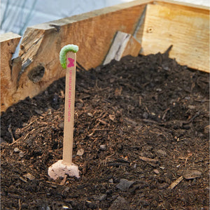 Seed Pops  | Pollinator