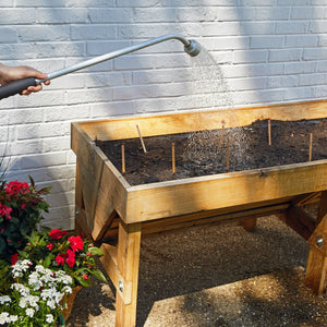 Seed Pops  | Pollinator