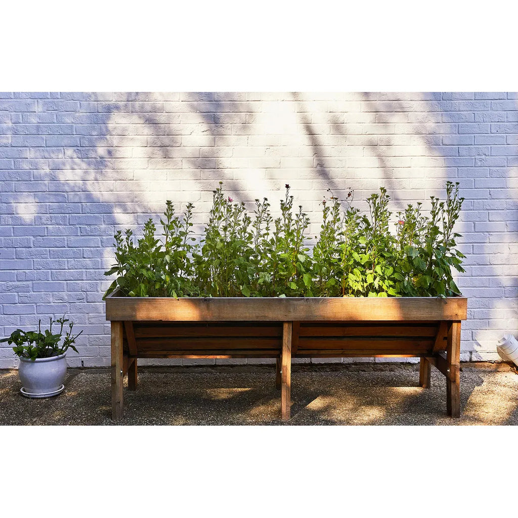 Seed Pops  | Pollinator